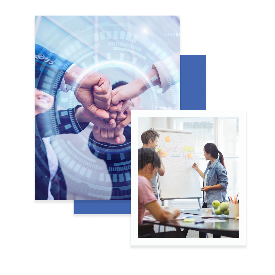 Successful happy group of people learning software engineering and business during presentation