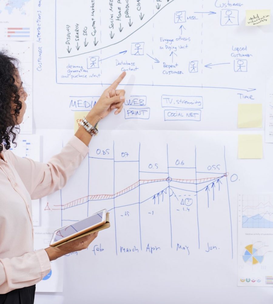 Business trainer explainig strategy of development